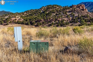 RARE 20.99 Acres with Arkansas River Frontage - Howard, Colorado - photo 10