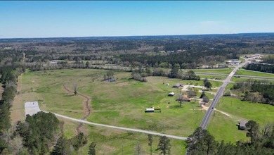 (private lake, pond, coastal) Acreage For Sale in Heidelberg Mississippi