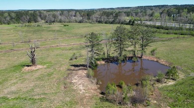 48 Acres | Prime Pastureland with Excellent Access Located just - photo 5