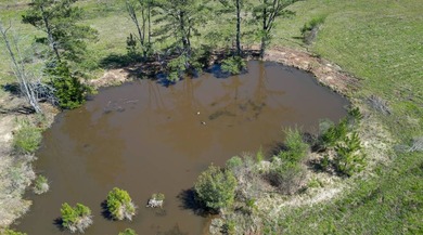 48 Acres | Prime Pastureland with Excellent Access Located just - photo 7