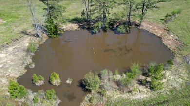 48 Acres | Prime Pastureland with Excellent Access Located just - photo 8