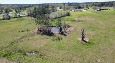 48 Acres | Prime Pastureland with Excellent Access Located just - photo 9