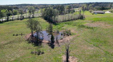48 Acres | Prime Pastureland with Excellent Access Located just - photo 10