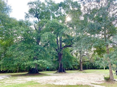 This home has had many updates within the last year. Many - photo 15