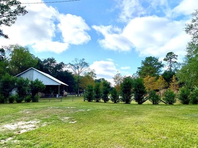 This home has had many updates within the last year. Many - photo 16