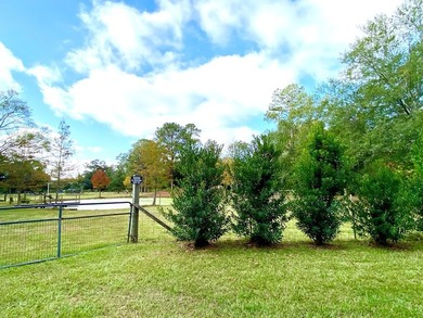 This home has had many updates within the last year. Many - photo 17