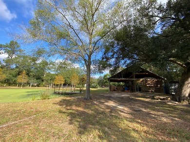 This home has had many updates within the last year. Many - photo 19