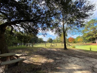 This home has had many updates within the last year. Many - photo 22