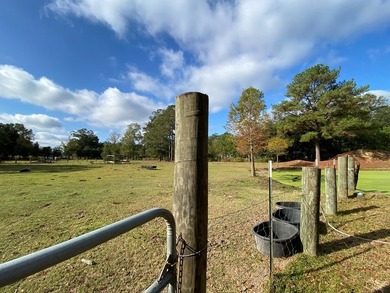 This home has had many updates within the last year. Many - photo 24