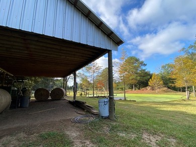 This home has had many updates within the last year. Many - photo 25
