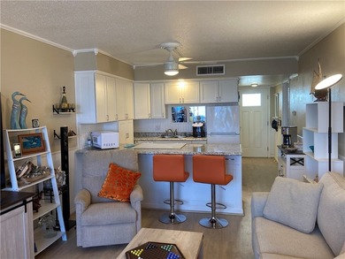 Las Brisas Condo on North Beach Furnished 1-bedroom unit. A - photo 5