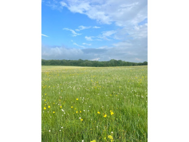 HIGH-TRAFFIC COMMERCIAL DEVELOPMENT LAND - ARDMORE, OK Location - photo 6