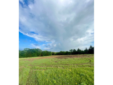HIGH-TRAFFIC COMMERCIAL DEVELOPMENT LAND - ARDMORE, OK Location - photo 9