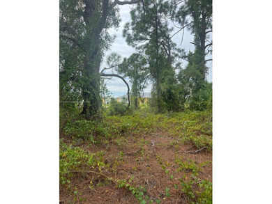 Lehigh Acres Area Lot For Sale in Lehigh Acres Florida