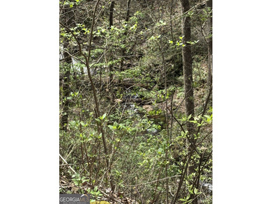 Coosawattee River - Gilmer County Acreage For Sale in East Ellijay Georgia