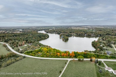 Lake Acreage For Sale in Perrinton, Michigan