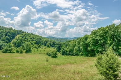 Enjoy 32+/- acres of open pasture and wooded land with - photo 15