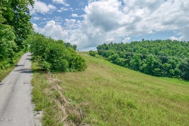 Enjoy 32+/- acres of open pasture and wooded land with - photo 16