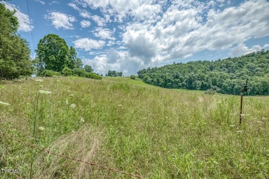 Enjoy 32+/- acres of open pasture and wooded land with - photo 17