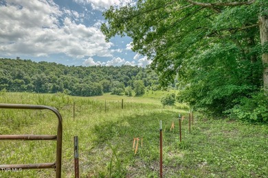 Enjoy 32+/- acres of open pasture and wooded land with - photo 18