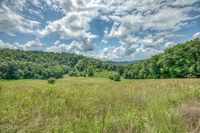 Enjoy 32+/- acres of open pasture and wooded land with - photo 19