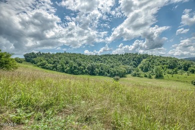 Enjoy 32+/- acres of open pasture and wooded land with - photo 20