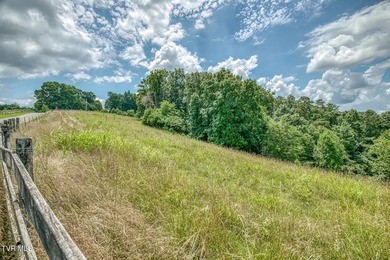 Enjoy 32+/- acres of open pasture and wooded land with - photo 23