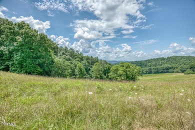 Enjoy 32+/- acres of open pasture and wooded land with - photo 24