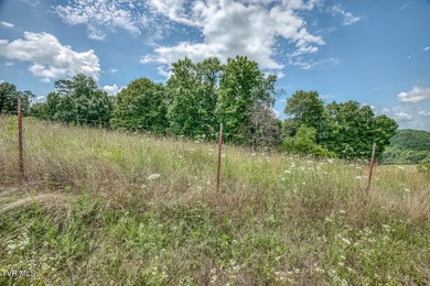 Enjoy 32+/- acres of open pasture and wooded land with - photo 25