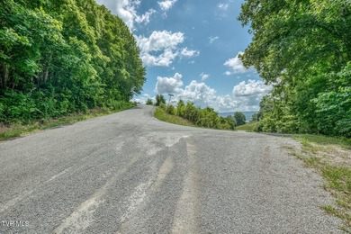 Enjoy 32+/- acres of open pasture and wooded land with - photo 29