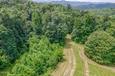 Enjoy 32+/- acres of open pasture and wooded land with - photo 32