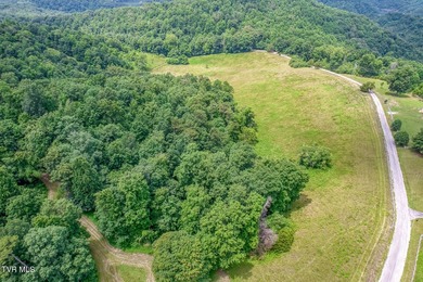 Enjoy 32+/- acres of open pasture and wooded land with - photo 34