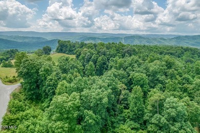 Enjoy 32+/- acres of open pasture and wooded land with - photo 35