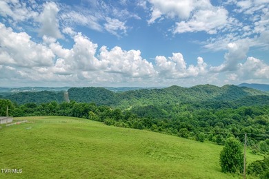 Enjoy 32+/- acres of open pasture and wooded land with - photo 37