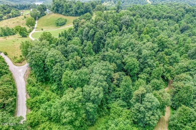 Enjoy 32+/- acres of open pasture and wooded land with - photo 42