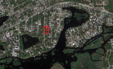 Tsala Apopka Chain of Lakes  Lot For Sale in Inverness Florida