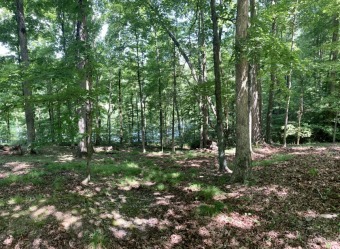 Lake Lot For Sale in Westview, Kentucky