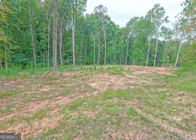 Lake Hartwell Lot For Sale in Lavonia Georgia