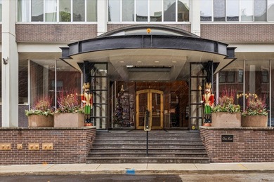 Lake Michigan - Cook County Condo For Sale in Chicago Illinois