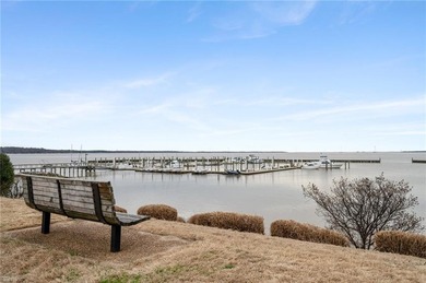 This stunning luxury home, located within sought after Kingsmill - photo 50