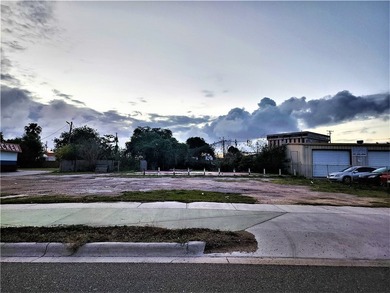 Located near the intersection of Leopard and Nueces Bay - photo 4