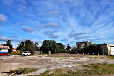 Located near the intersection of Leopard and Nueces Bay - photo 5