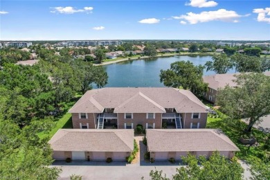 (private lake, pond, creek) Home For Sale in Naples Florida