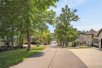 Discover the perfect setting for your dream lakefront estate in - photo 12