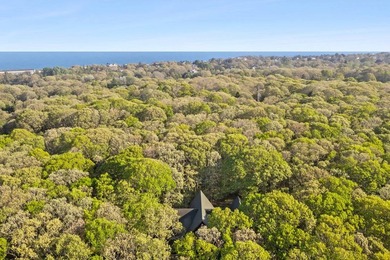 Privacy is becoming increasingly difficult to find in Montauk - photo 12