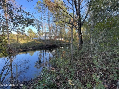 St. Johns River Lot For Sale in Palatka Florida