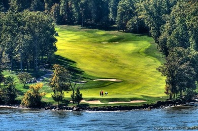 Discover the perfect setting for your dream lakefront estate in - photo 30