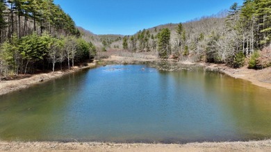 (private lake, pond, creek) Home For Sale in Beaver West Virginia