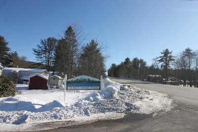 Lake Home For Sale in Bridgewater, New Hampshire