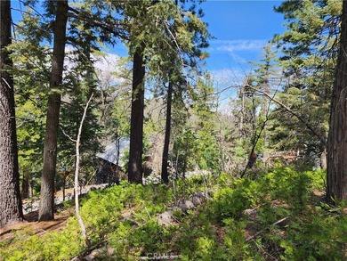 Lake Arrowhead Lot For Sale in Twin Peaks California